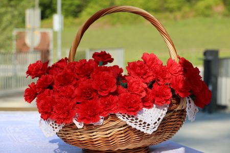 Godba Tuhinjske doline (3)